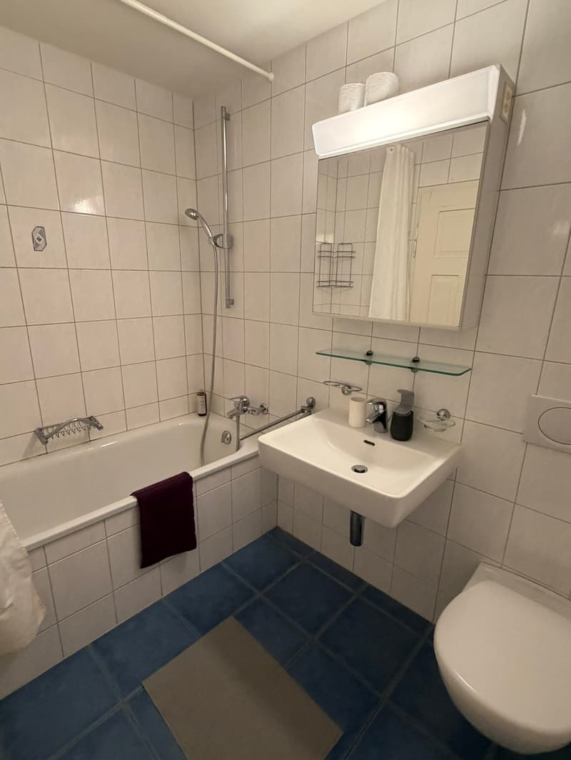 🏡 Modern 3.5-Room Furnished Apartment in Zürich Altstetten (near Zürich-Binz) (18)