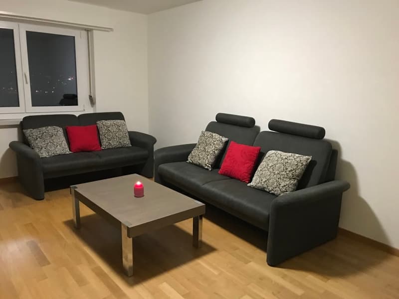 Appartement de 3,5 pièces entièrement meublé à Glattbrugg – Près de l'aéroport de Zurich & des centres d'affaires (2)