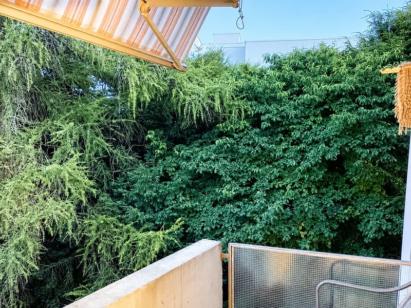 🏡 3,5-Zimmer-Wohnung möbliert – Zürich (Ideal für Unternehmen & Familien) (15)