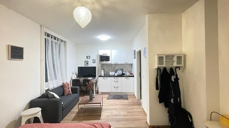 🏡Vollständig möbliertes Studio-Zimmer-Apartment in Zürich Zentrum Zone 10 - S1 (8)
