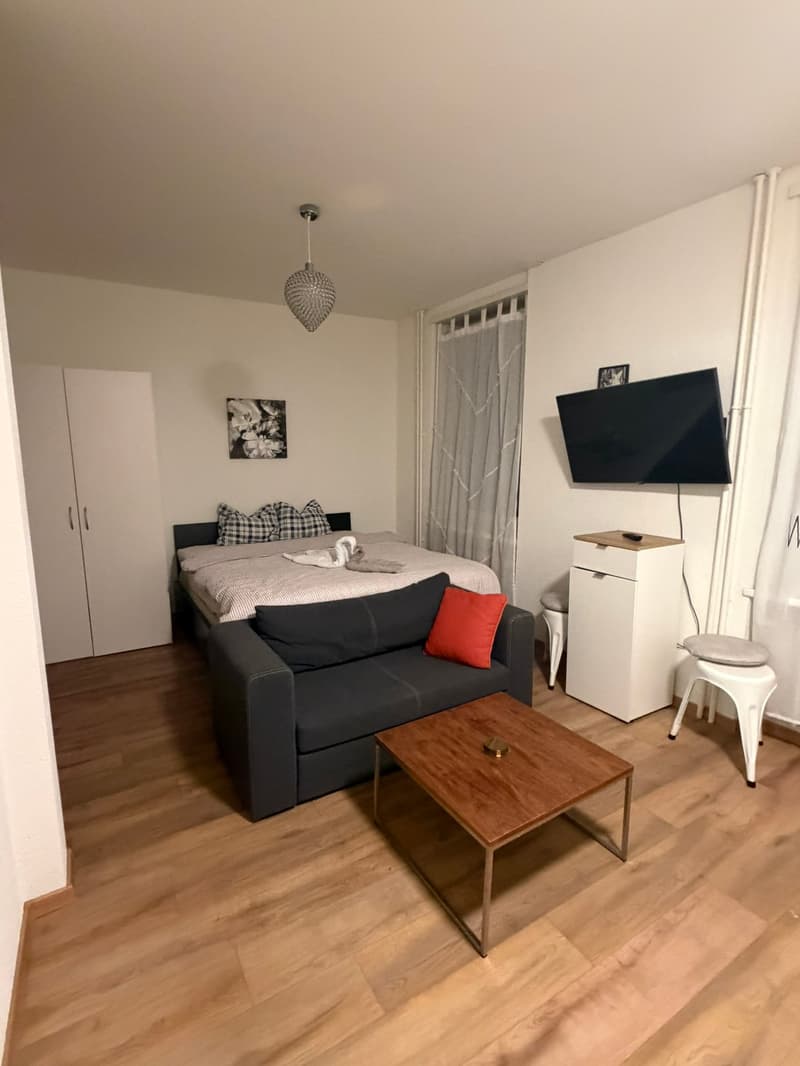 🏡Vollständig möbliertes Studio-Zimmer-Apartment in Zürich Zentrum Zone 10 - S1 (2)