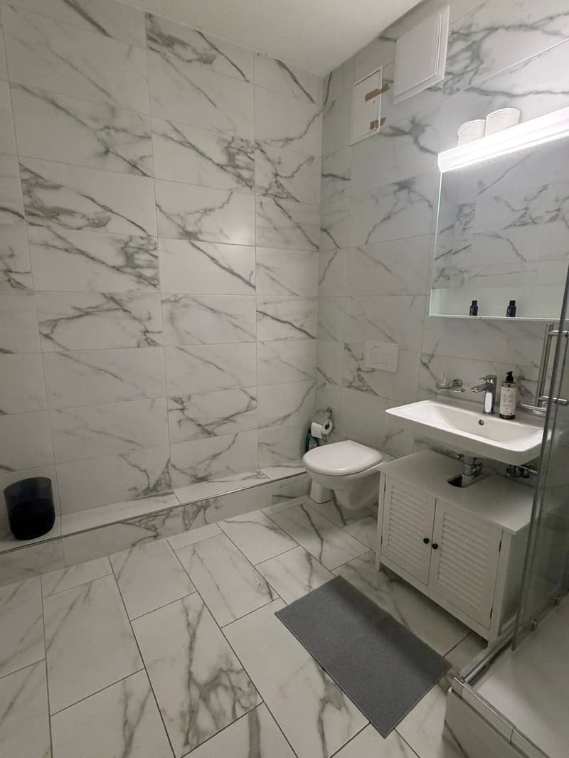 🏡Vollständig möbliertes Studio-Zimmer-Apartment in Zürich Zentrum Zone 10 - S1 (10)