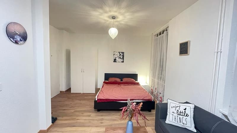 🏡Vollständig möbliertes Studio-Zimmer-Apartment in Zürich Zentrum Zone 10 - S1 (1)