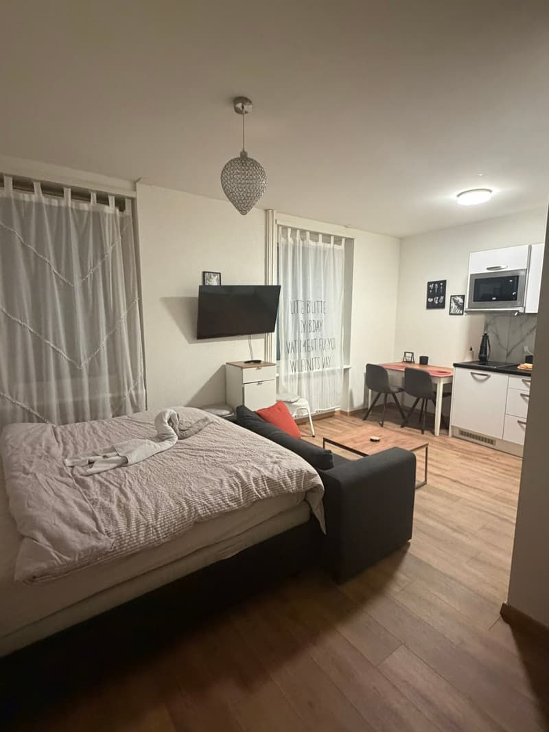 🏡Vollständig möbliertes Studio-Zimmer-Apartment in Zürich Zentrum Zone 10 - S1 (6)