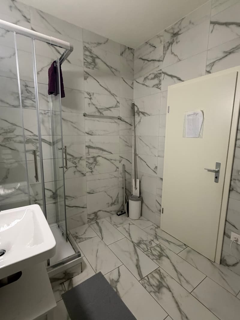 🏡Vollständig möbliertes Studio-Zimmer-Apartment in Zürich Zentrum Zone 10 - S1 (11)