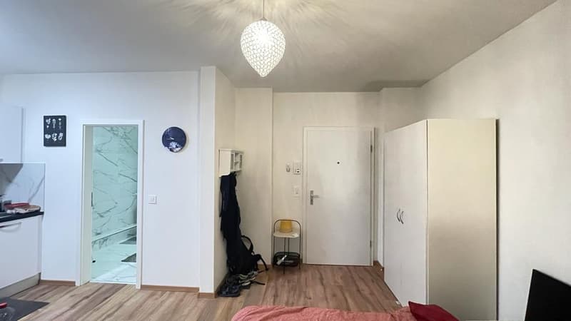 🏡Vollständig möbliertes Studio-Zimmer-Apartment in Zürich Zentrum Zone 10 - S1 (12)