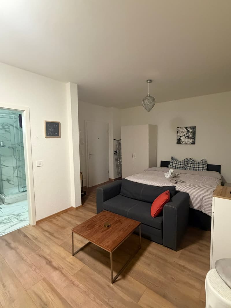 🏡Vollständig möbliertes Studio-Zimmer-Apartment in Zürich Zentrum Zone 10 - S1 (7)