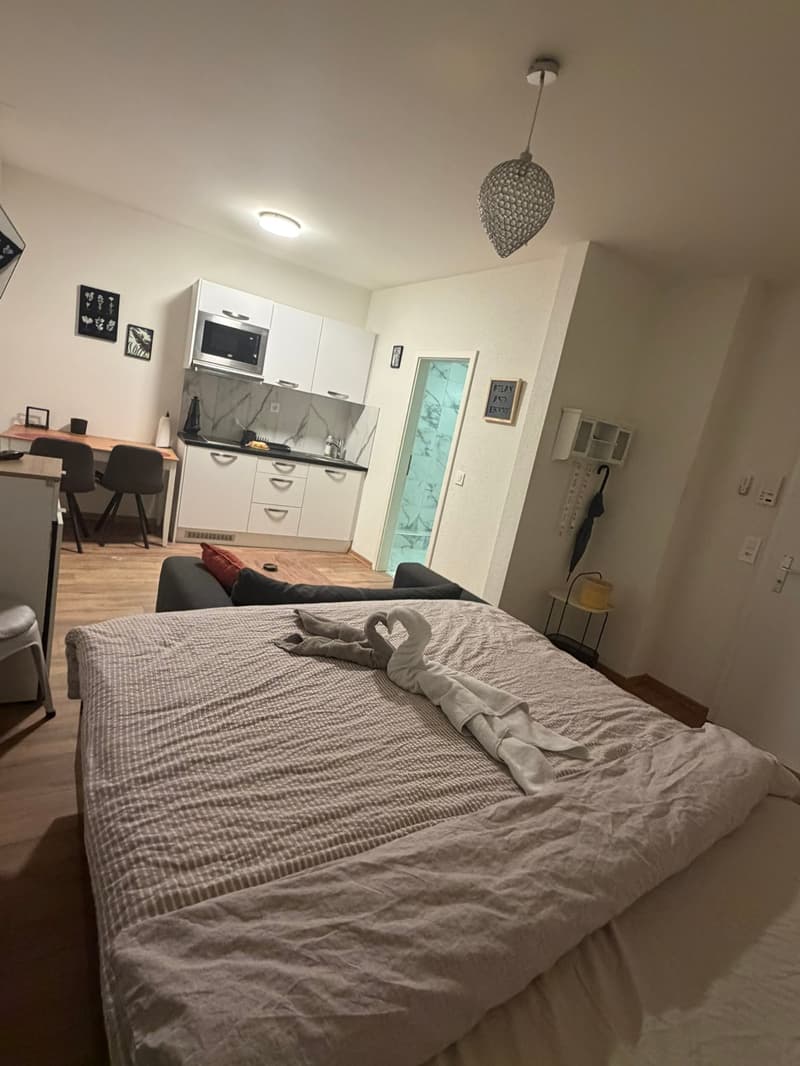 🏡Vollständig möbliertes Studio-Zimmer-Apartment in Zürich Zentrum Zone 10 - S1 (5)