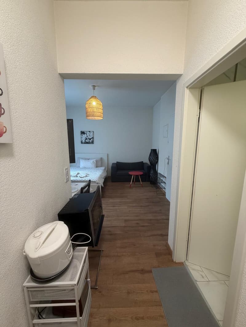 🏡 Vollständig möbliertes Studio-Apartment Steinstrasse 35 8003 Zürich Erdgeschoss rechte Seite-S4 (5)