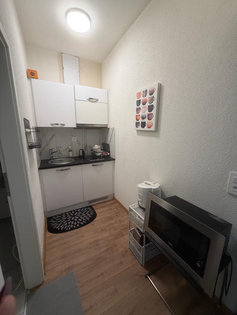 🏡 Vollständig möbliertes Studio-Apartment Steinstrasse 35 8003 Zürich Erdgeschoss rechte Seite-S4 (6)
