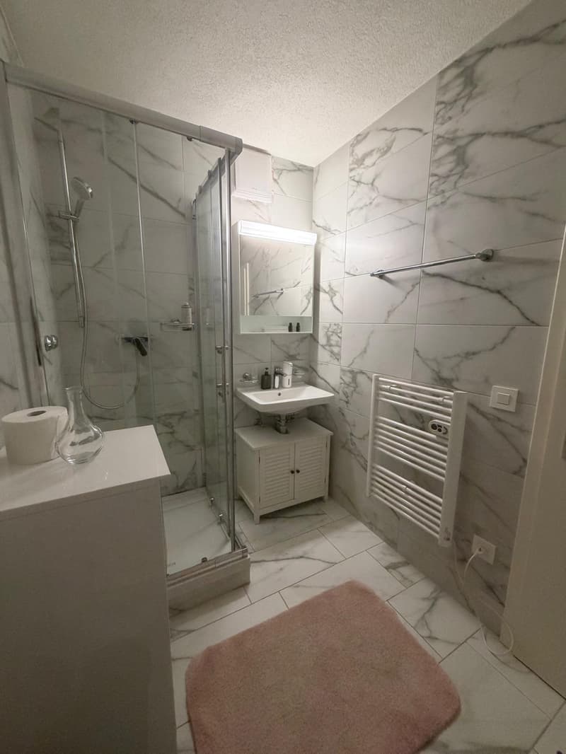 🏡 Vollständig möbliertes Studio-Apartment Steinstrasse 35 8003 Zürich Erdgeschoss rechte Seite-S4 (10)