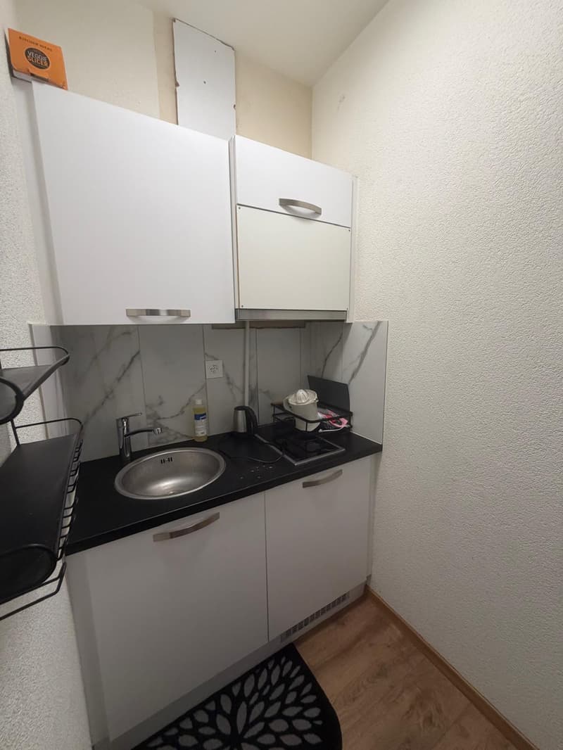 🏡 Vollständig möbliertes Studio-Apartment Steinstrasse 35 8003 Zürich Erdgeschoss rechte Seite-S4 (7)