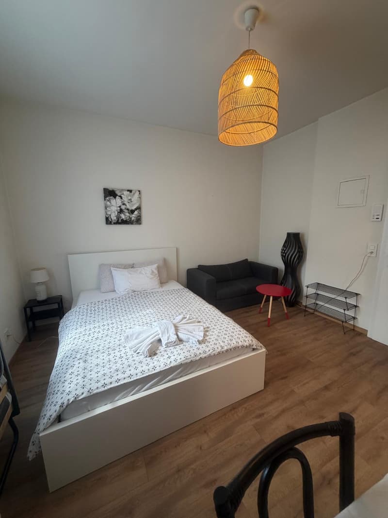 🏡 Vollständig möbliertes Studio-Apartment Steinstrasse 35 8003 Zürich Erdgeschoss rechte Seite-S4 (3)