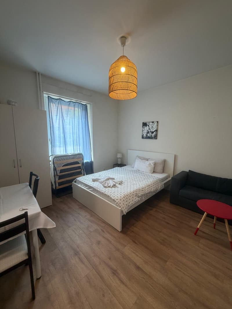 🏡 Vollständig möbliertes Studio-Apartment Steinstrasse 35 8003 Zürich Erdgeschoss rechte Seite-S4 (1)
