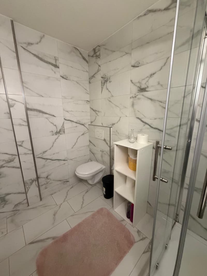 🏡 Vollständig möbliertes Studio-Apartment Steinstrasse 35 8003 Zürich Erdgeschoss rechte Seite-S4 (8)
