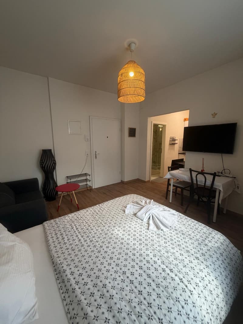 🏡 Vollständig möbliertes Studio-Apartment Steinstrasse 35 8003 Zürich Erdgeschoss rechte Seite-S4 (4)