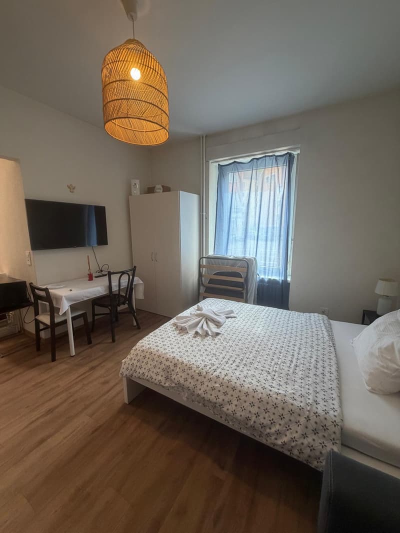 🏡 Vollständig möbliertes Studio-Apartment Steinstrasse 35 8003 Zürich Erdgeschoss rechte Seite-S4 (2)
