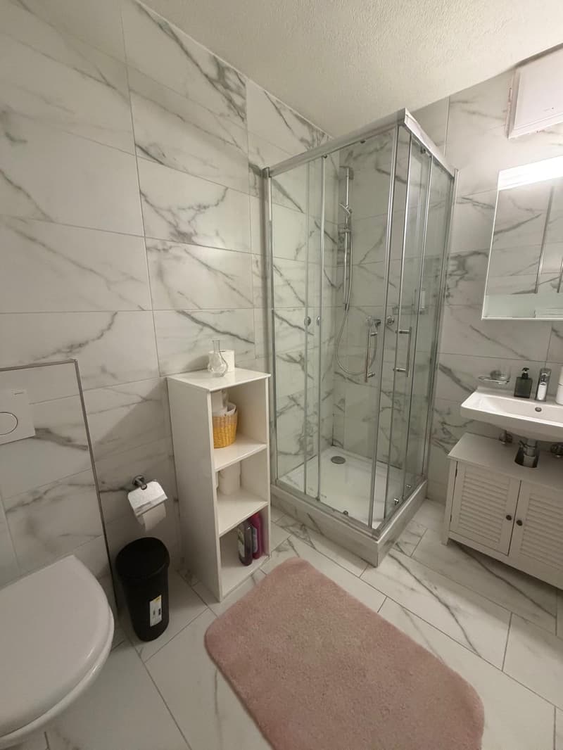 🏡 Vollständig möbliertes Studio-Apartment Steinstrasse 35 8003 Zürich Erdgeschoss rechte Seite-S4 (9)