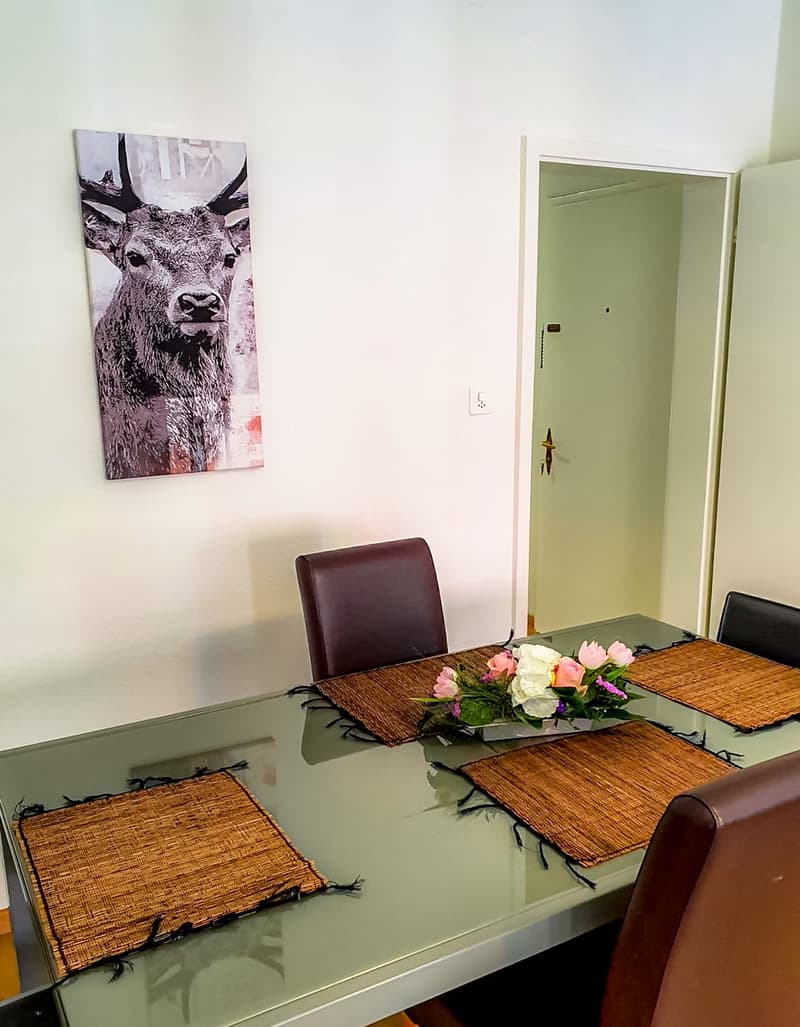 🏡Riehenring 143, 4058 Basel – 2,5-Zimmer-Wohnung, 1. Stock, linke Seite (10)