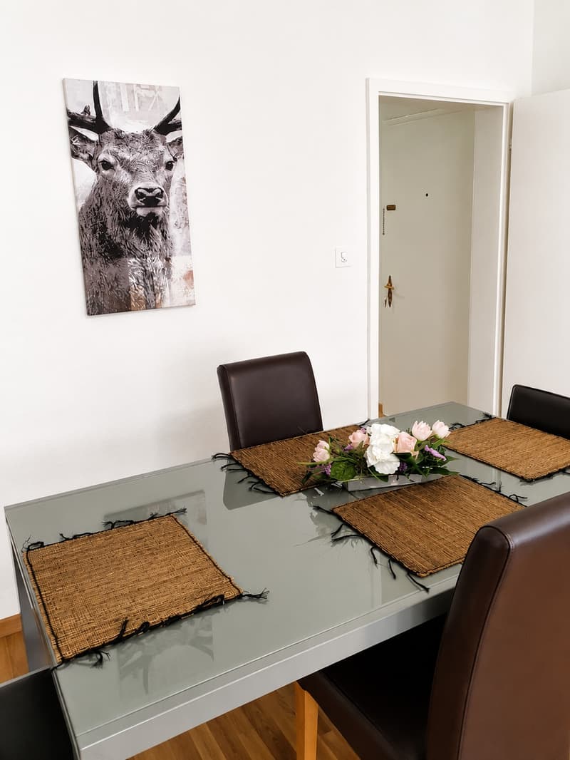 🏡Riehenring 143, 4058 Basel – 2.5-Room Apartment, 1st Floor, Left Side (8)