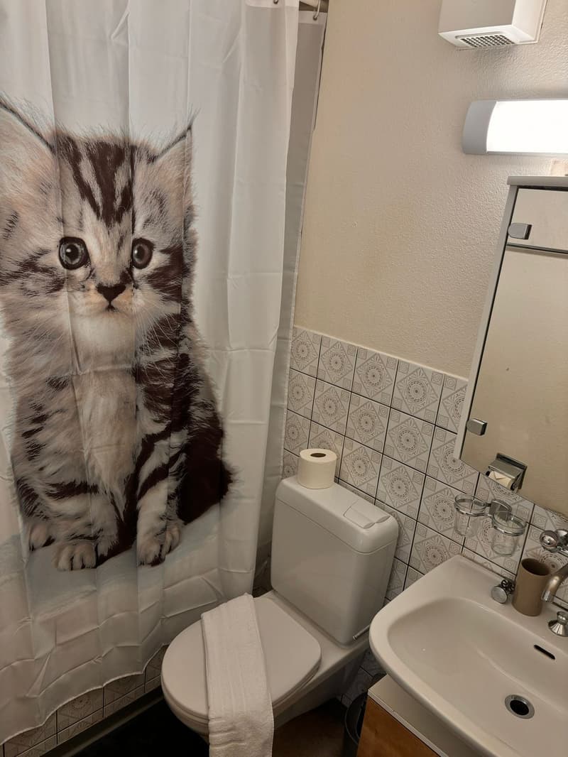 🏡 Charmantes möbliertes 2.5-Zimmer-Apartment Seebacherstrasse 64, Zürich Seebach 2. Stock links (14)