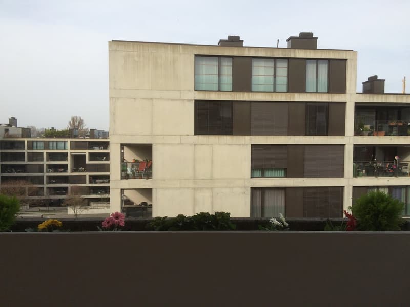 🏡 Charmantes möbliertes 2.5-Zimmer-Apartment Seebacherstrasse 64, Zürich Seebach 2. Stock links (17)