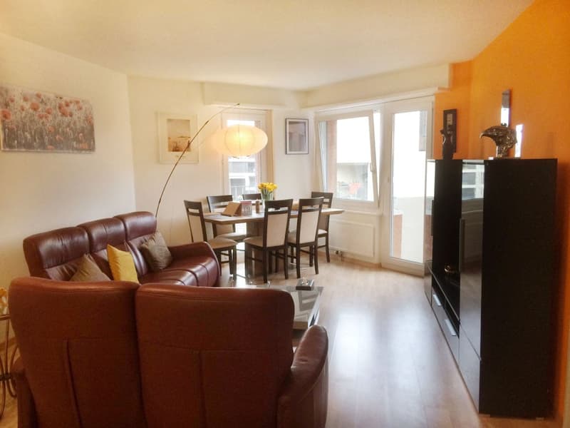 🏡 Charmantes möbliertes 2.5-Zimmer-Apartment Seebacherstrasse 64, Zürich Seebach 2. Stock links (2)