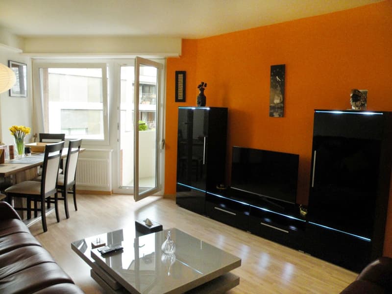 🏡 Charmantes möbliertes 2.5-Zimmer-Apartment Seebacherstrasse 64, Zürich Seebach 2. Stock links (4)