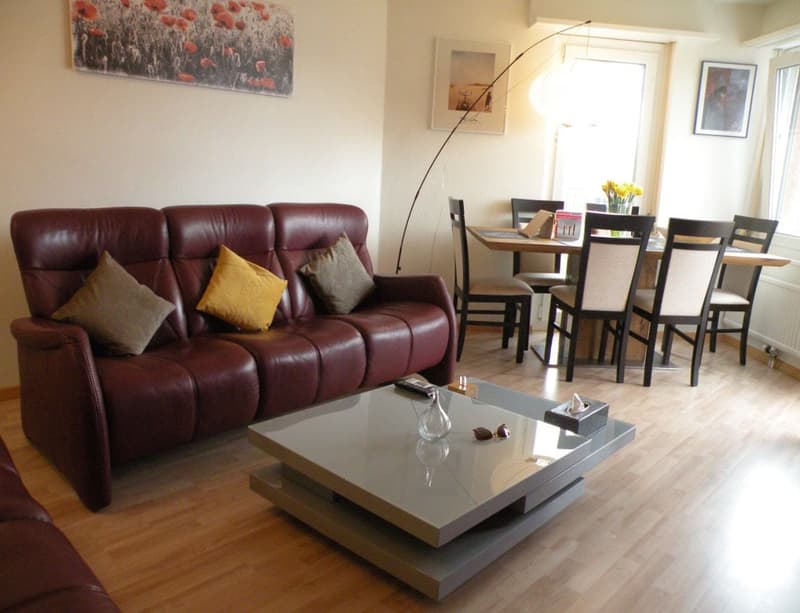 🏡 Charmantes möbliertes 2.5-Zimmer-Apartment Seebacherstrasse 64, Zürich Seebach 2. Stock links (1)