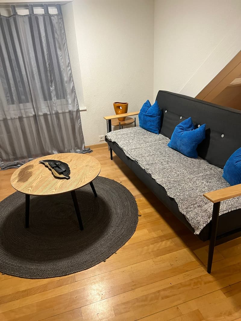 🏡Modernes 3.5-Zimmer-Wohnung mit Möbeln - Langnau am Albis Ideal für Unternehmen und Familien (3)