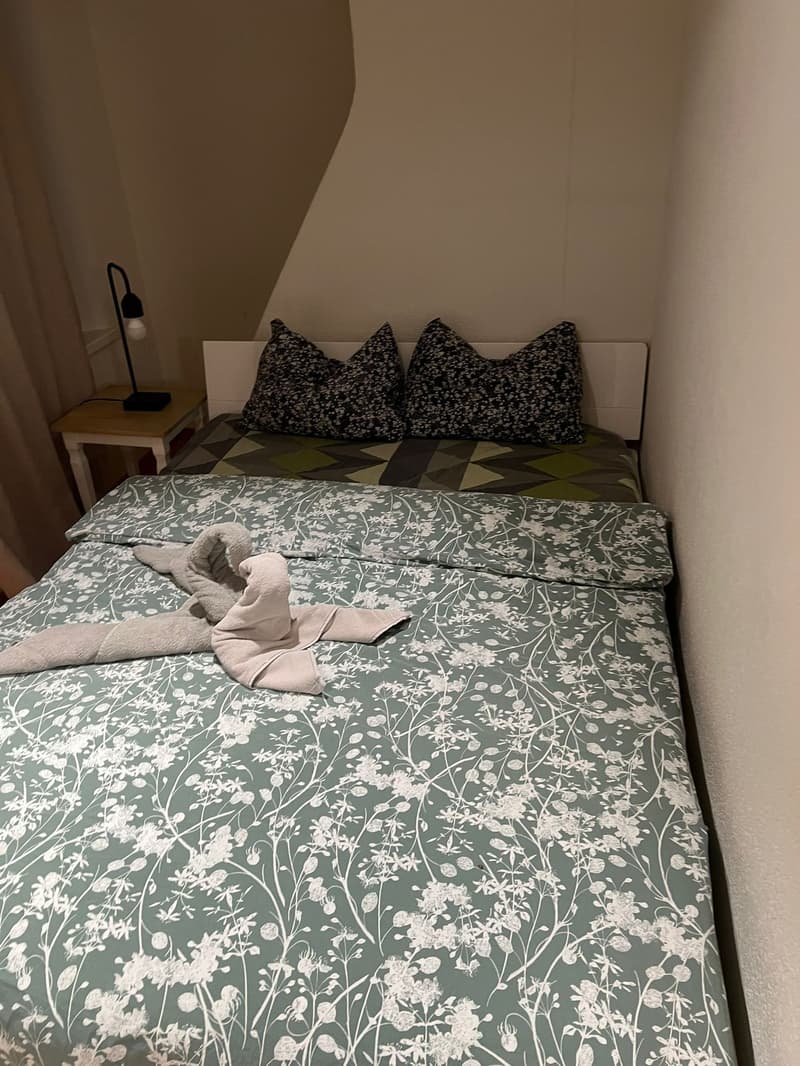 🏡Modernes 3.5-Zimmer-Wohnung mit Möbeln - Langnau am Albis Ideal für Unternehmen und Familien (8)