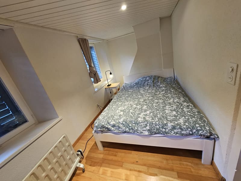 🏡Modernes 3.5-Zimmer-Wohnung mit Möbeln - Langnau am Albis Ideal für Unternehmen und Familien (7)