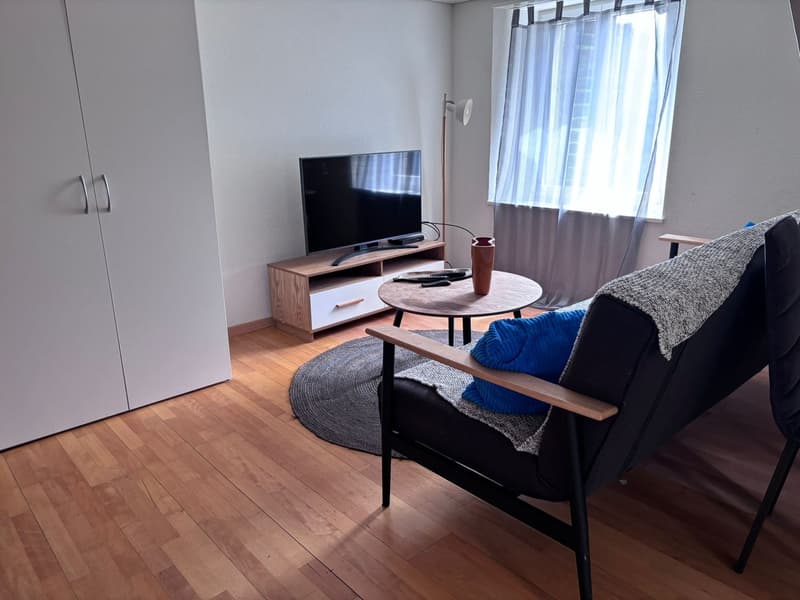 🏡Modernes 3.5-Zimmer-Wohnung mit Möbeln - Langnau am Albis Ideal für Unternehmen und Familien (6)