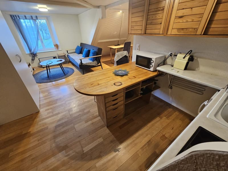 🏡Modernes 3.5-Zimmer-Wohnung mit Möbeln - Langnau am Albis Ideal für Unternehmen und Familien (2)