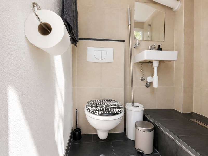 🏡 Cozy Furnished Studio Apartment in Wallisellen (8)