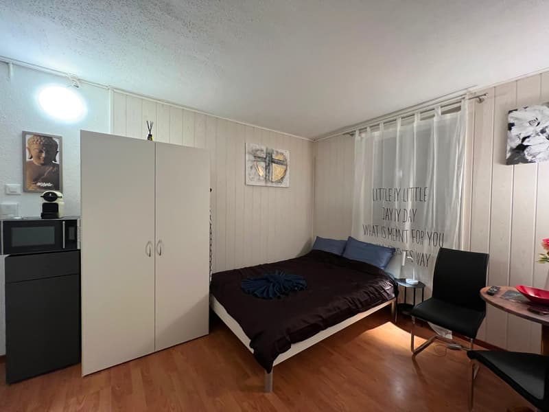 🏡 Gemütliches möbliertes Studio-Apartment in Wallisellen – Verfügbar ab 19. Juli 2026 (6)