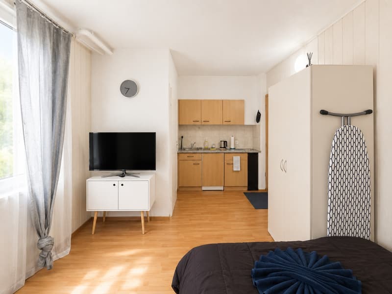 🏡 Cozy Furnished Studio Apartment in Wallisellen (6)