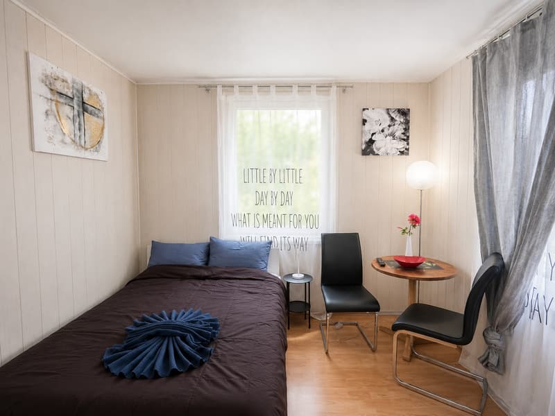 🏡 Cozy Furnished Studio Apartment in Wallisellen (3)