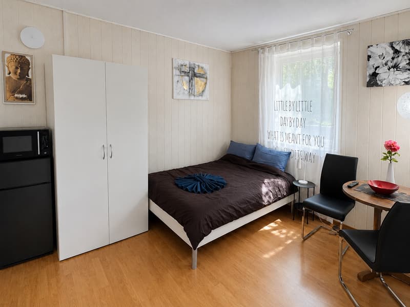 🏡 Cozy Furnished Studio Apartment in Wallisellen (2)