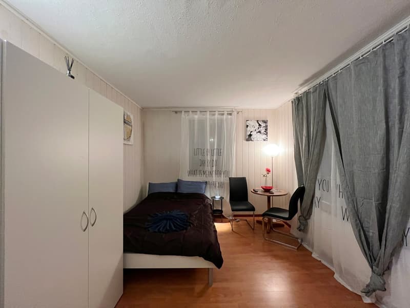 🏡 Gemütliches möbliertes Studio-Apartment in Wallisellen – Verfügbar ab 19. Juli 2026 (5)