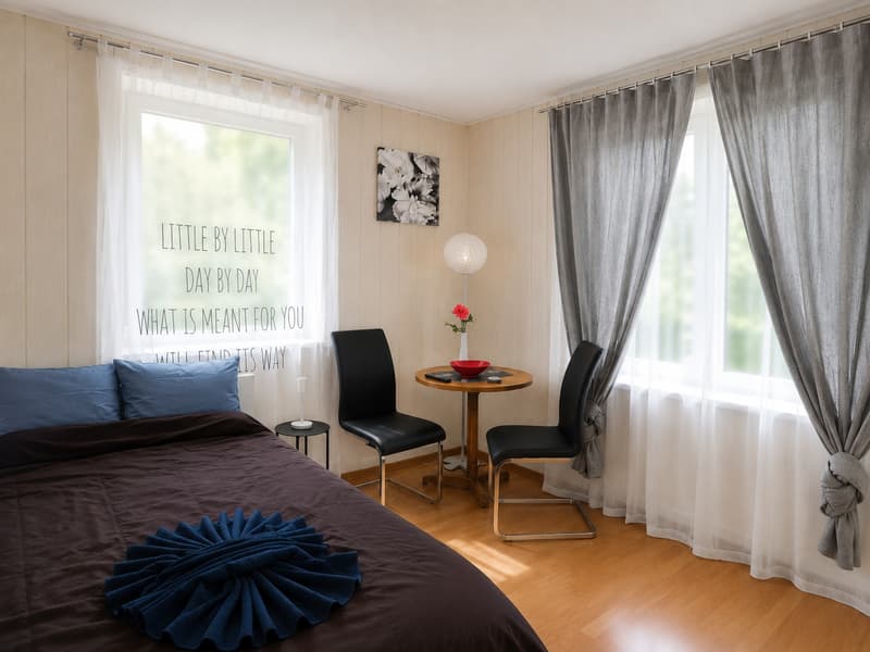 🏡 Cozy Furnished Studio Apartment in Wallisellen (5)