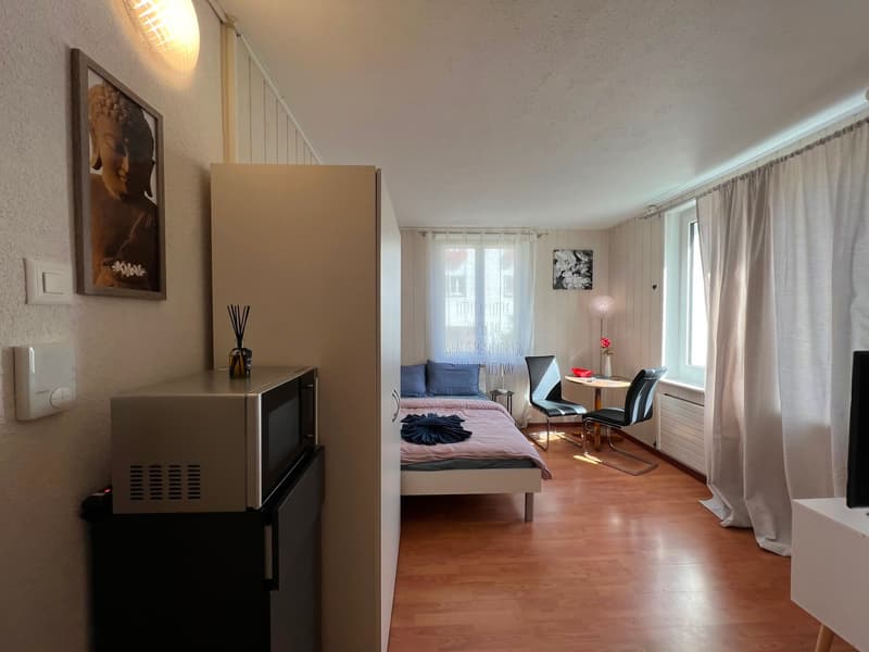 🏡 Gemütliches möbliertes Studio-Apartment in Wallisellen – Verfügbar ab 19. Juli 2026 (3)