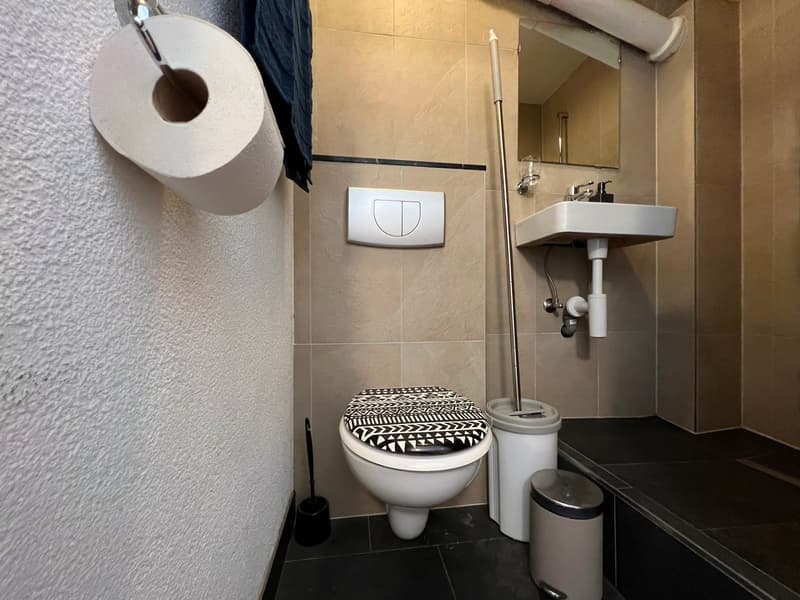 🏡 Gemütliches möbliertes Studio-Apartment in Wallisellen – Verfügbar ab 19. Juli 2026 (10)