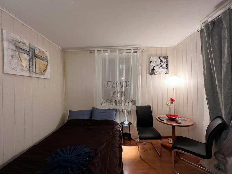 🏡 Gemütliches möbliertes Studio-Apartment in Wallisellen – Verfügbar ab 19. Juli 2026 (2)