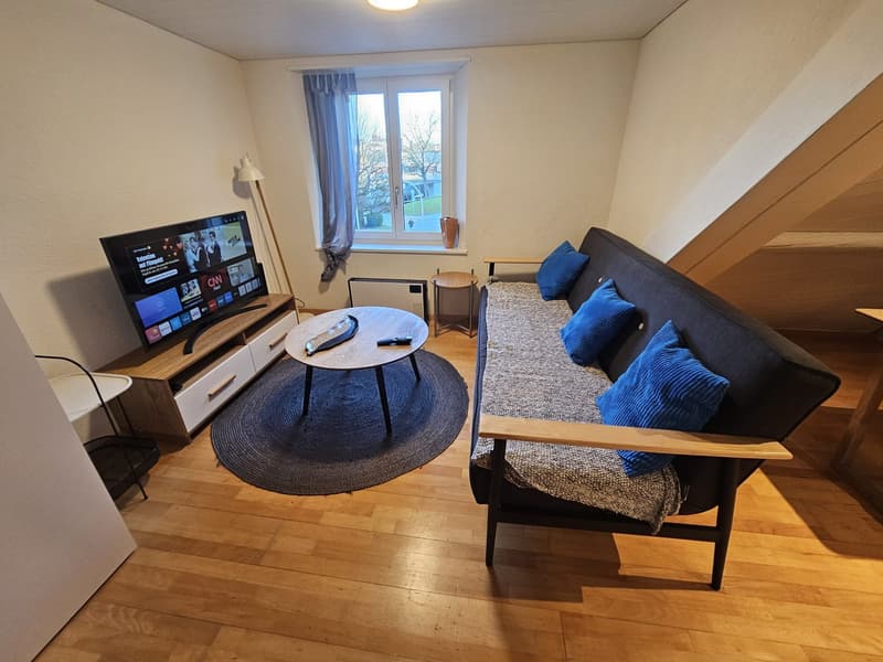 🏡Appartement meublé 3.5 pièces moderne - Langnau am Albis Idéal pour les entreprises et les familles (1)