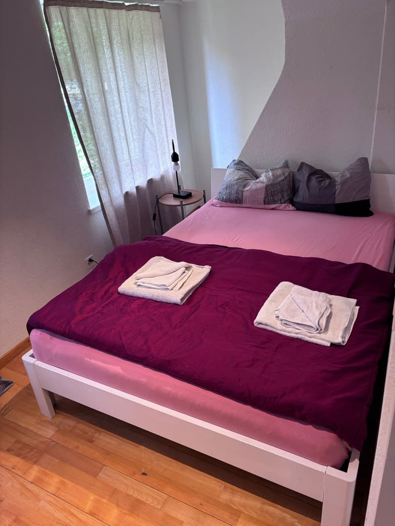 🏡Appartement meublé 3.5 pièces moderne - Langnau am Albis Idéal pour les entreprises et les familles (13)