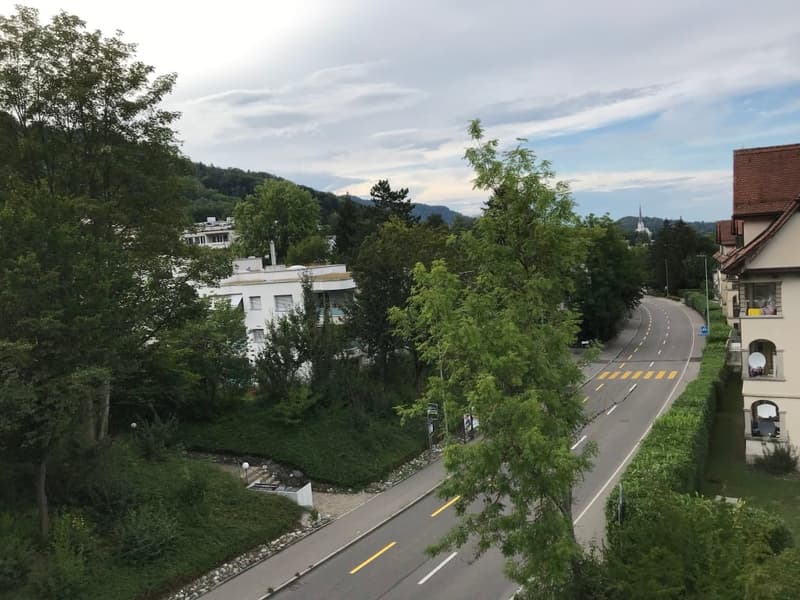 🏠 Charmantes 3,5-Zimmer-Wohnung mit Balkon in Adliswil – sofort verfügbar (15)