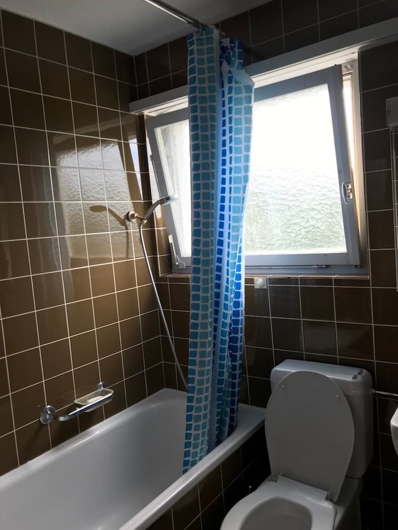 🏠 Charmantes 3,5-Zimmer-Wohnung mit Balkon in Adliswil – sofort verfügbar (12)