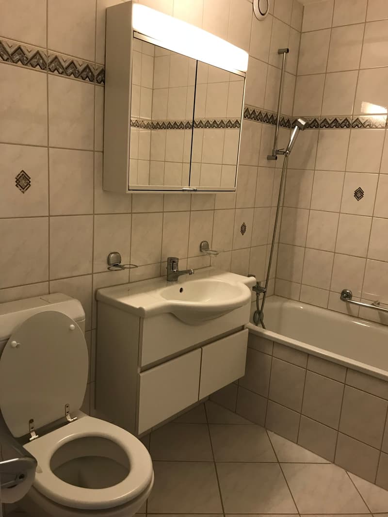 🏠 Charmantes 3,5-Zimmer-Wohnung mit Balkon in Adliswil – sofort verfügbar (11)