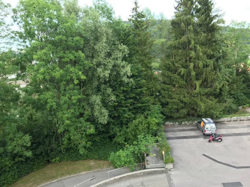 🏠 Charmantes 3.5-Zimmer-Wohnung mit Balkon in Adliswil – sofort verfügbar (14)